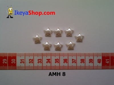 AMH 8  large2